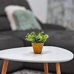 Coresi Apartamento *